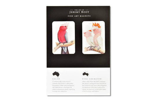 Magnet Pairs - Galah & Cockatoo