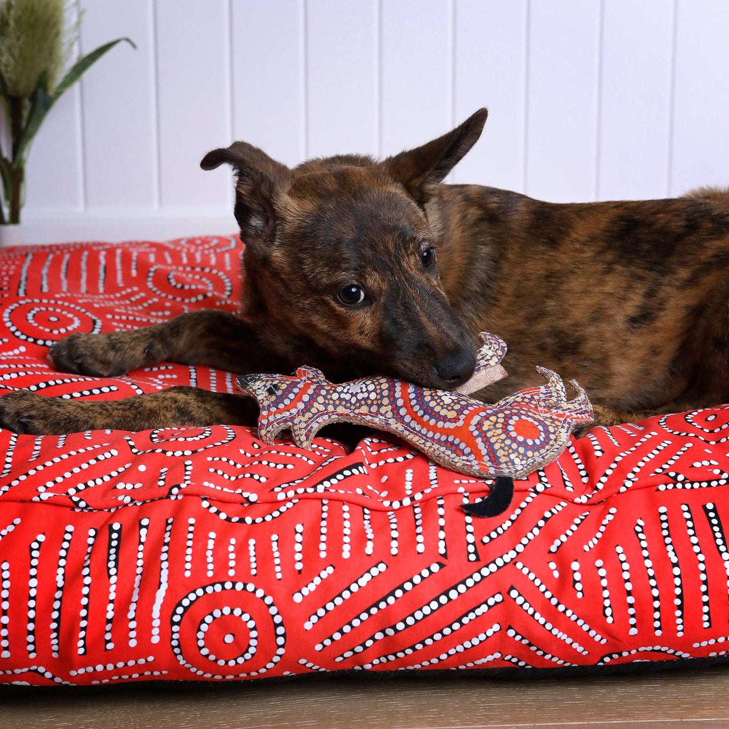 Desert Dog Chew Toy - Trevor