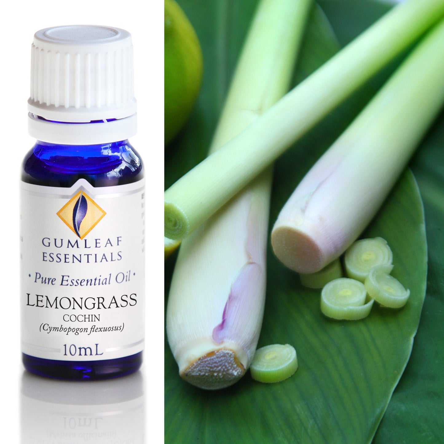 Essential Oil - Lemongrass