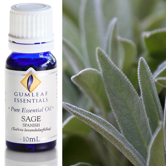 Essential Oil - Sage Spanish