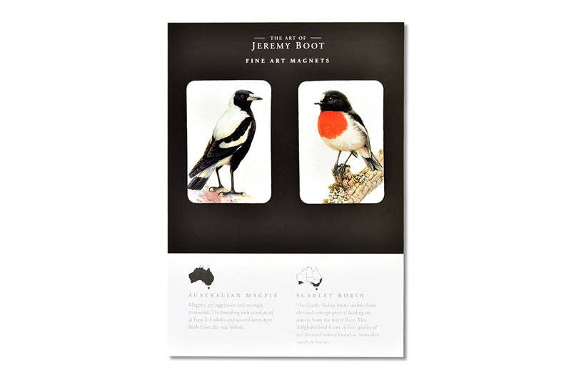 Magnet Pairs - Magpie & Robin