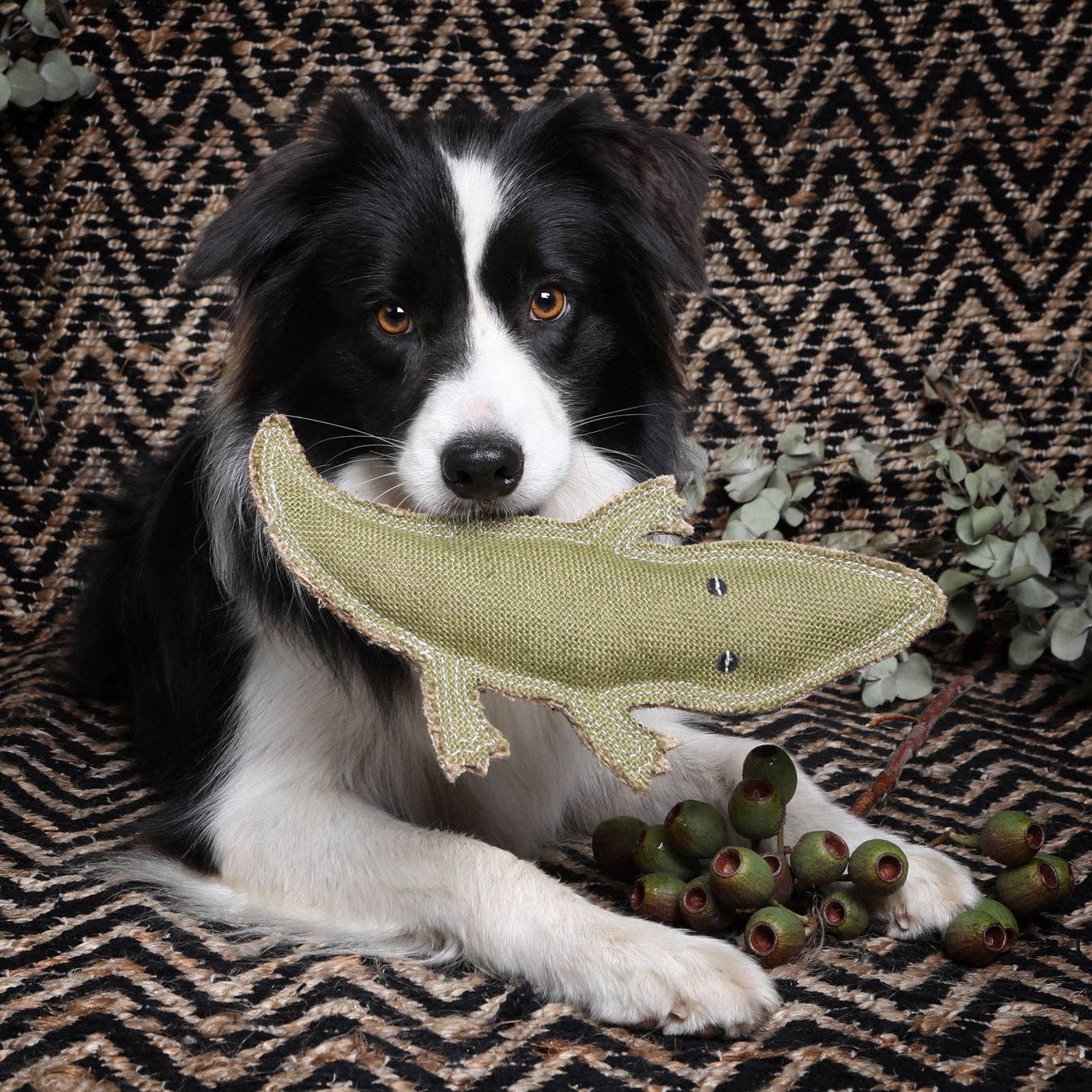 Outback Animal Toy - Steve the Crocodile
