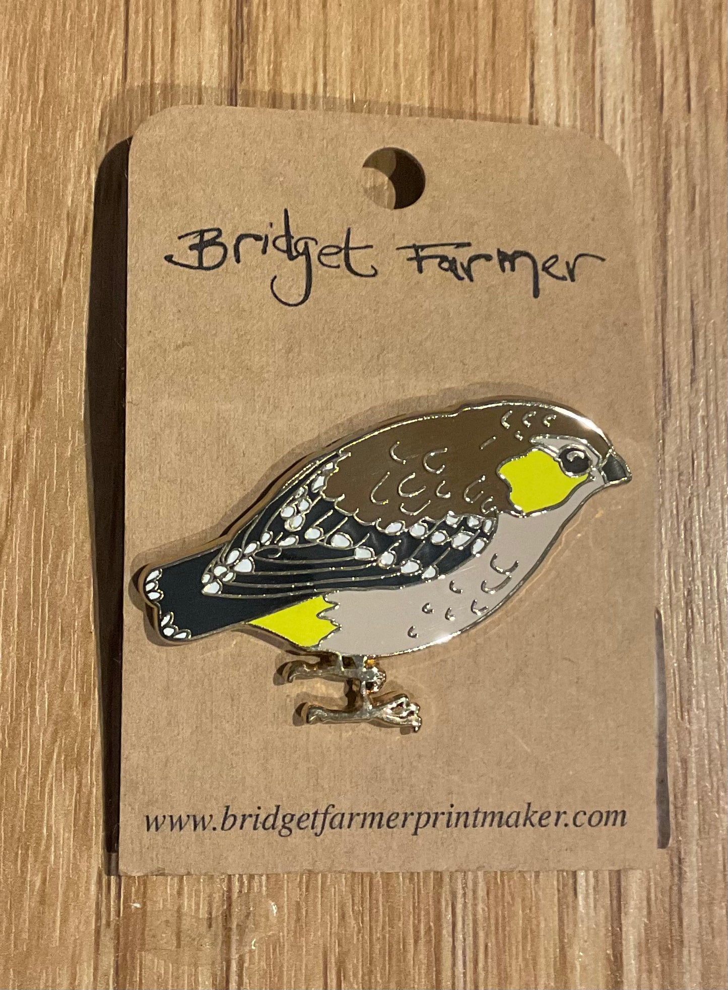 *Hooded Plover Enamel Pin
