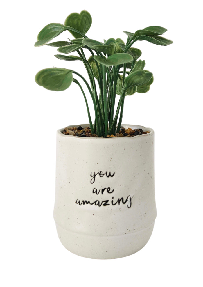 Planter You are Amazing
