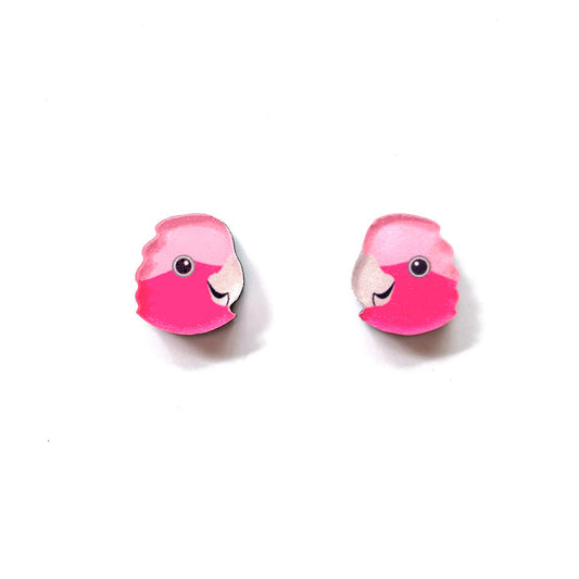 Galah Studs