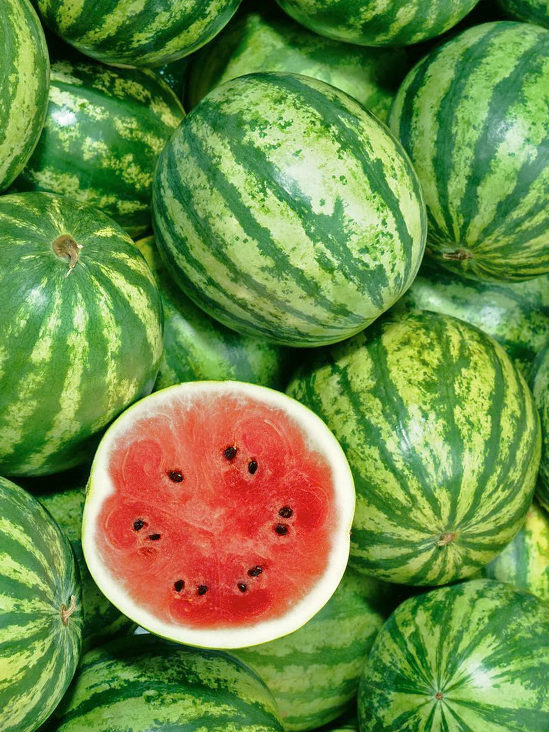 Fluffe Fairy Floss Watermelon