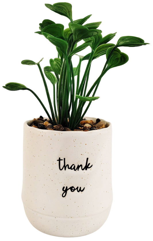 Artificial Plant - Thank You