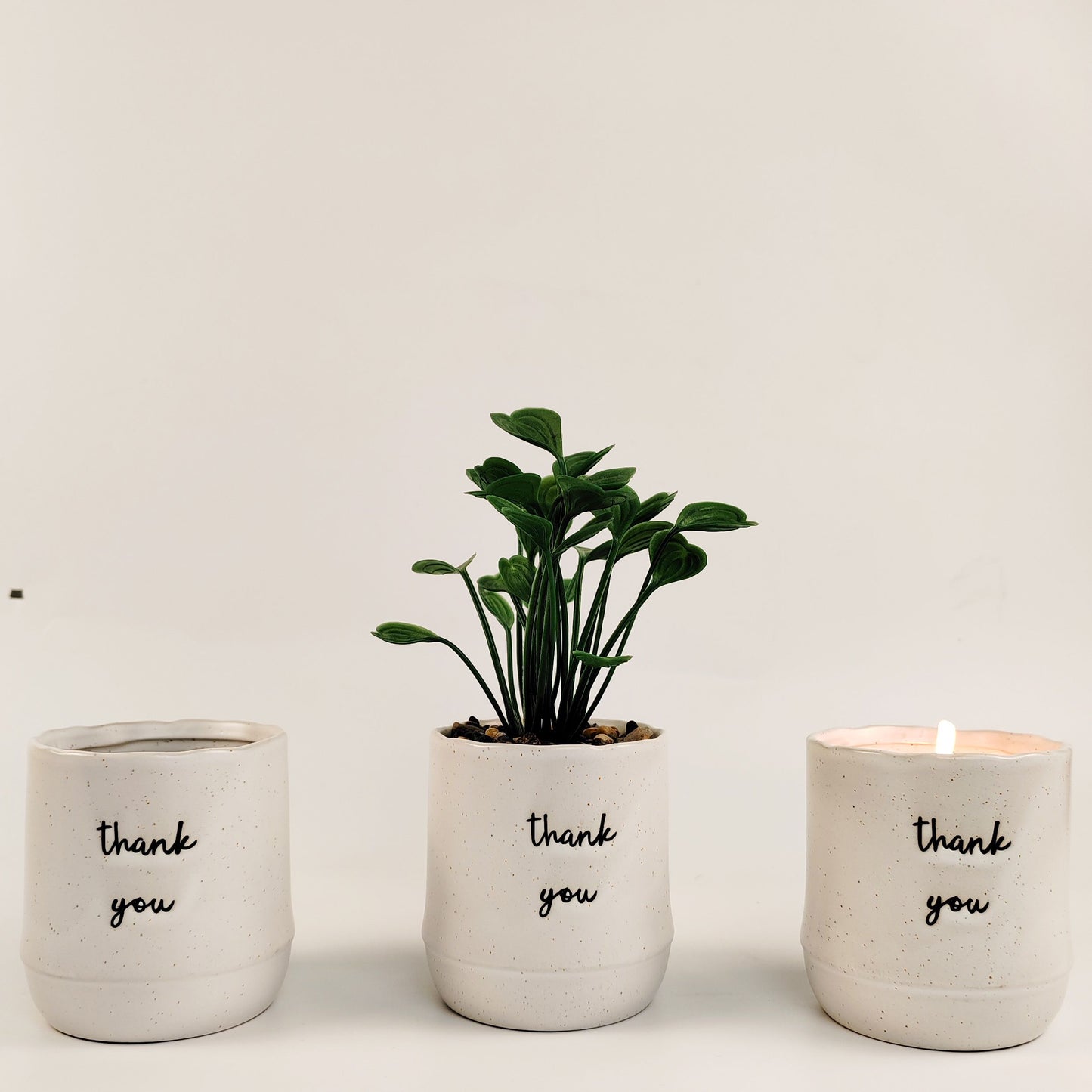 Artificial Plant - Thank You