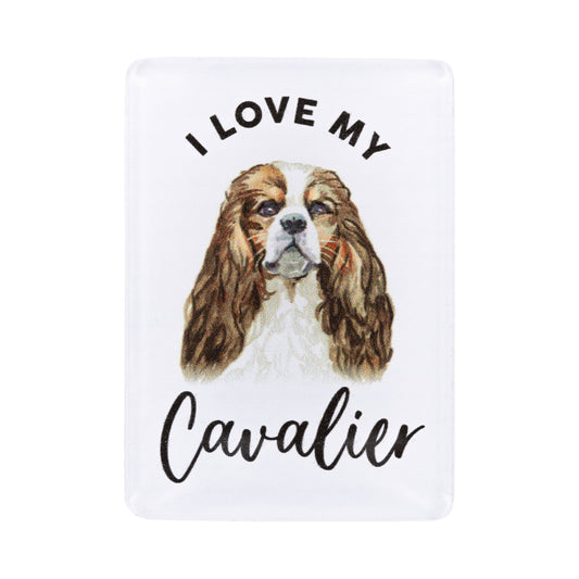 Pet Lovers Magnet I love My Cavalier