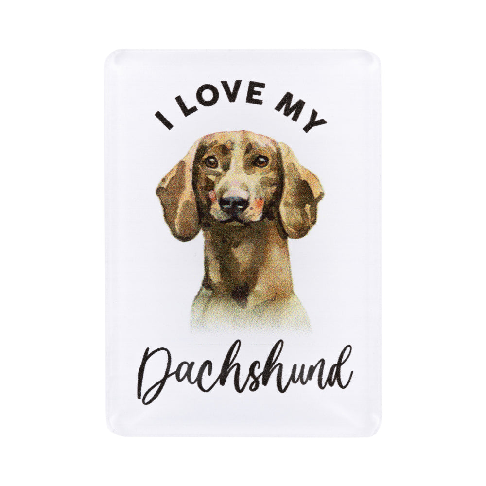 Pet Lovers Magnet I love My Dachshund