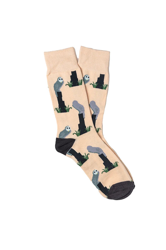 Belconnen Owl Socks - Back and Front