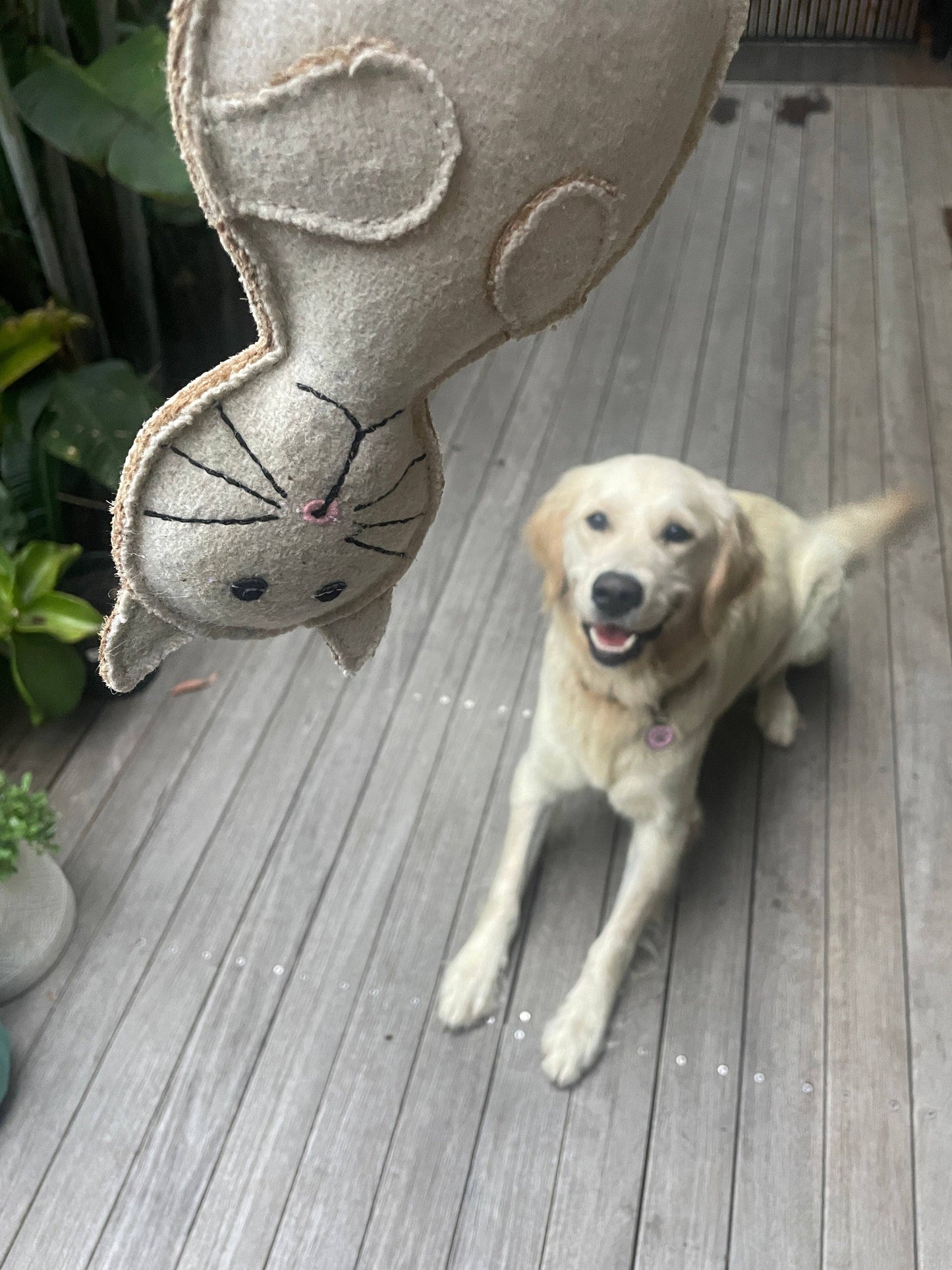 Country Tails Cat Chew Toy