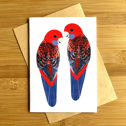 Card Crimson Rosella