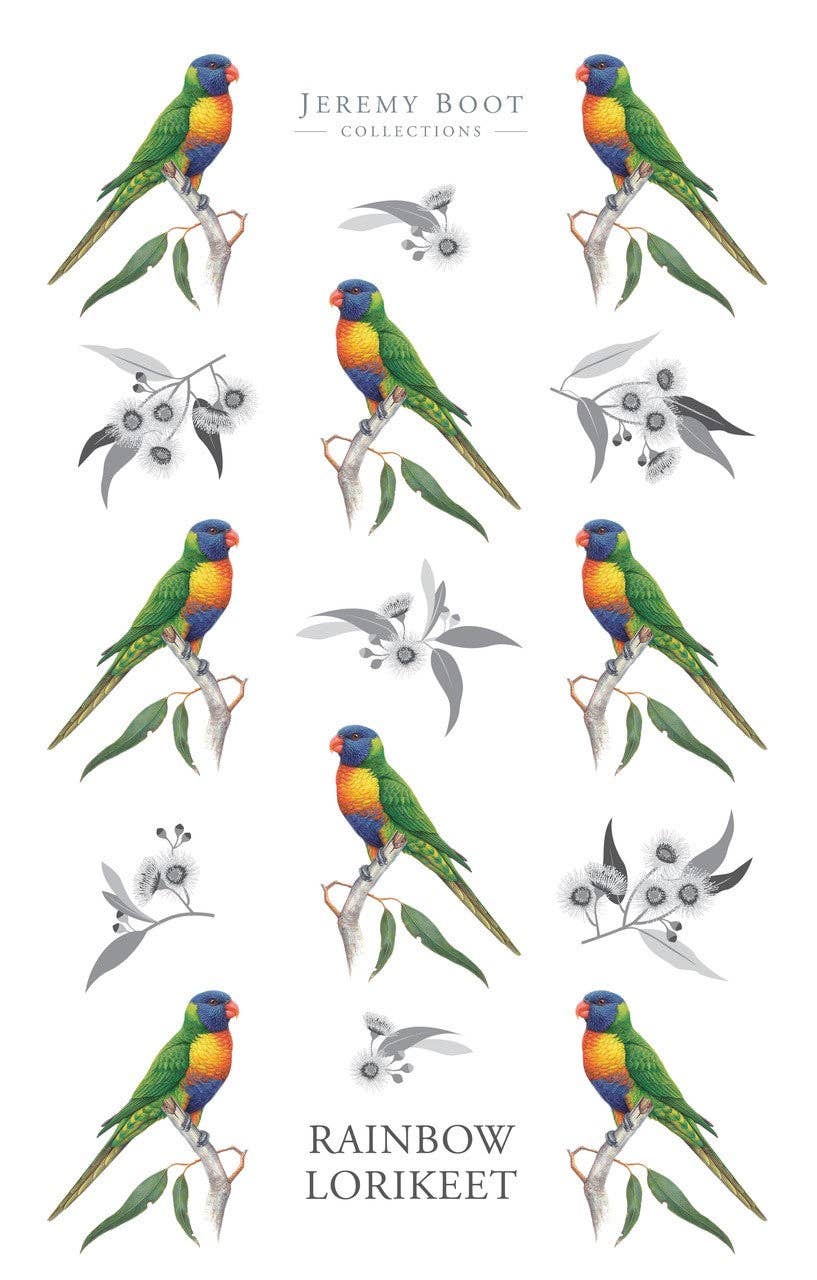 Tea Towel - Rainbow Lorikeet