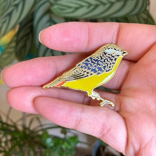 Enamel Pin - Spotted Pardalote