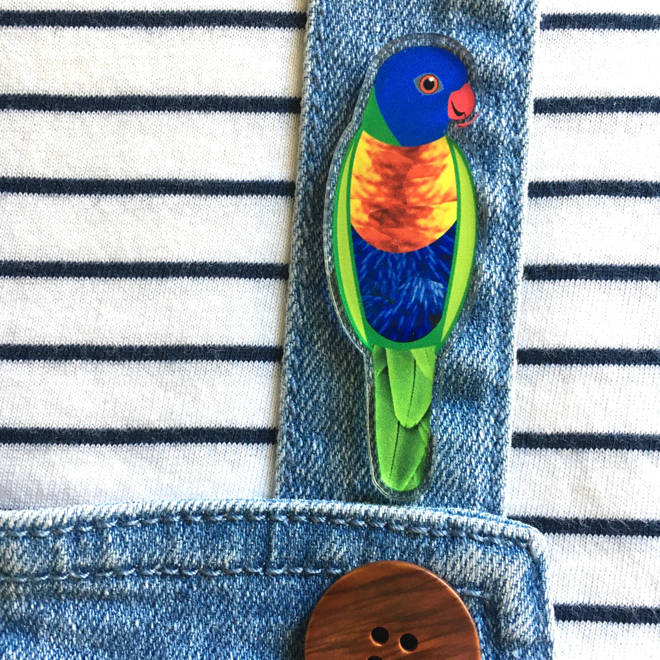 Rainbow Lorikeet Pin