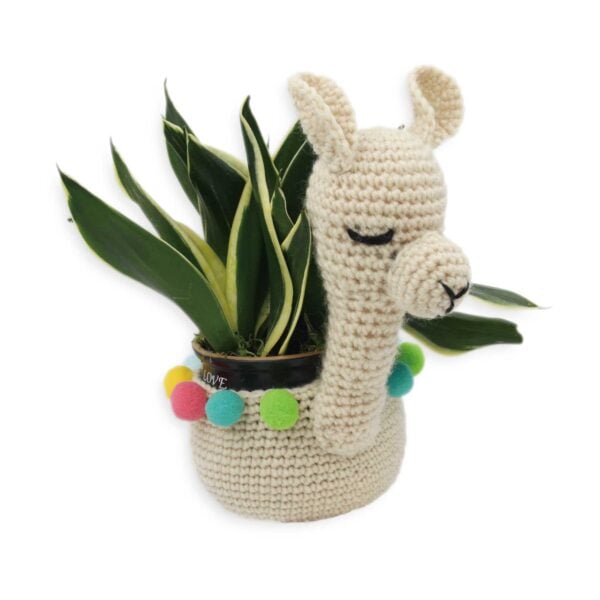 DIY Crochet Plant Holder Llama