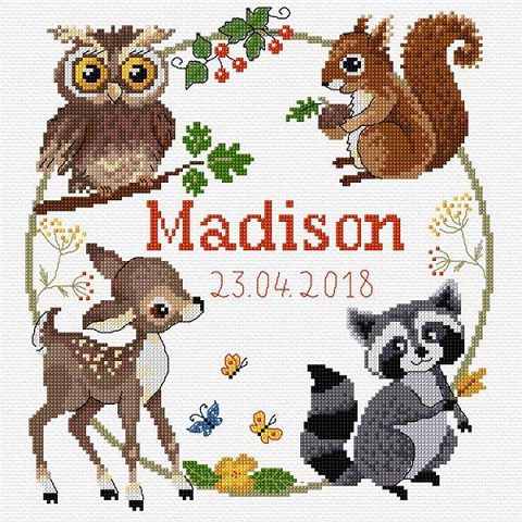 DMC Cross Stitch - Birth Sampler