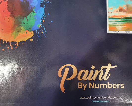 Paint By Numbers Kit 40x50cm