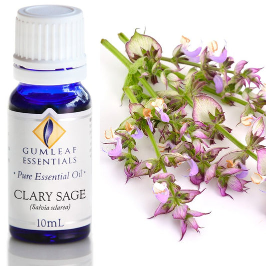 Essential Oil - Clary Sage