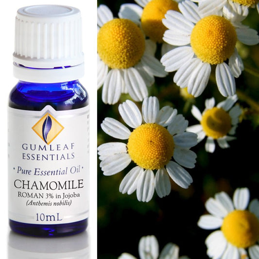 Essential Oil - Chamomile