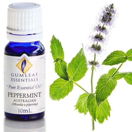 Essential Oil - Peppermint Australian