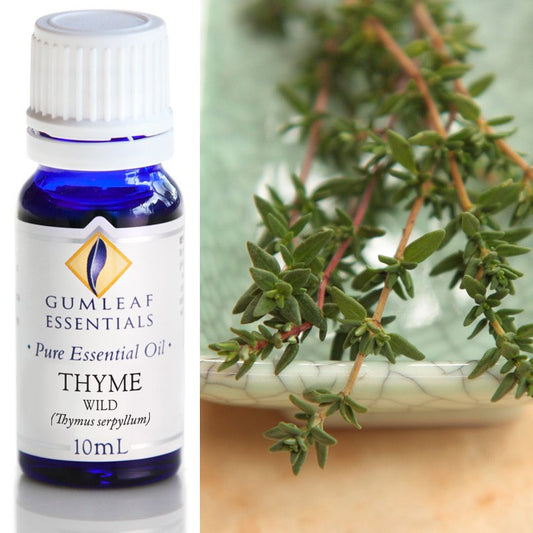 Essential Oil - Thyme Wild
