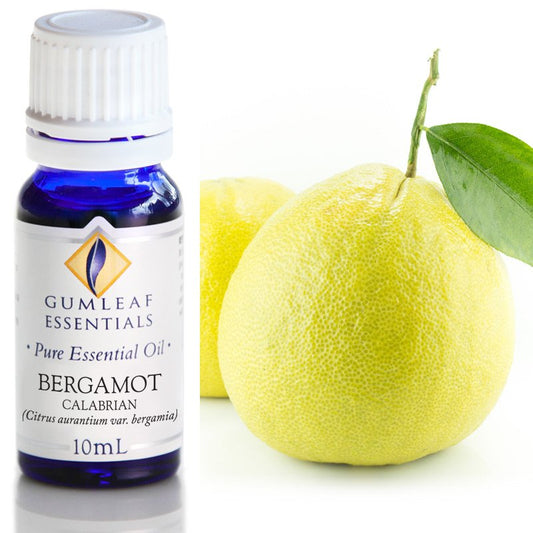 Essential Oil - Bergamot