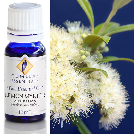Essential Oil - Lemon Myrtle