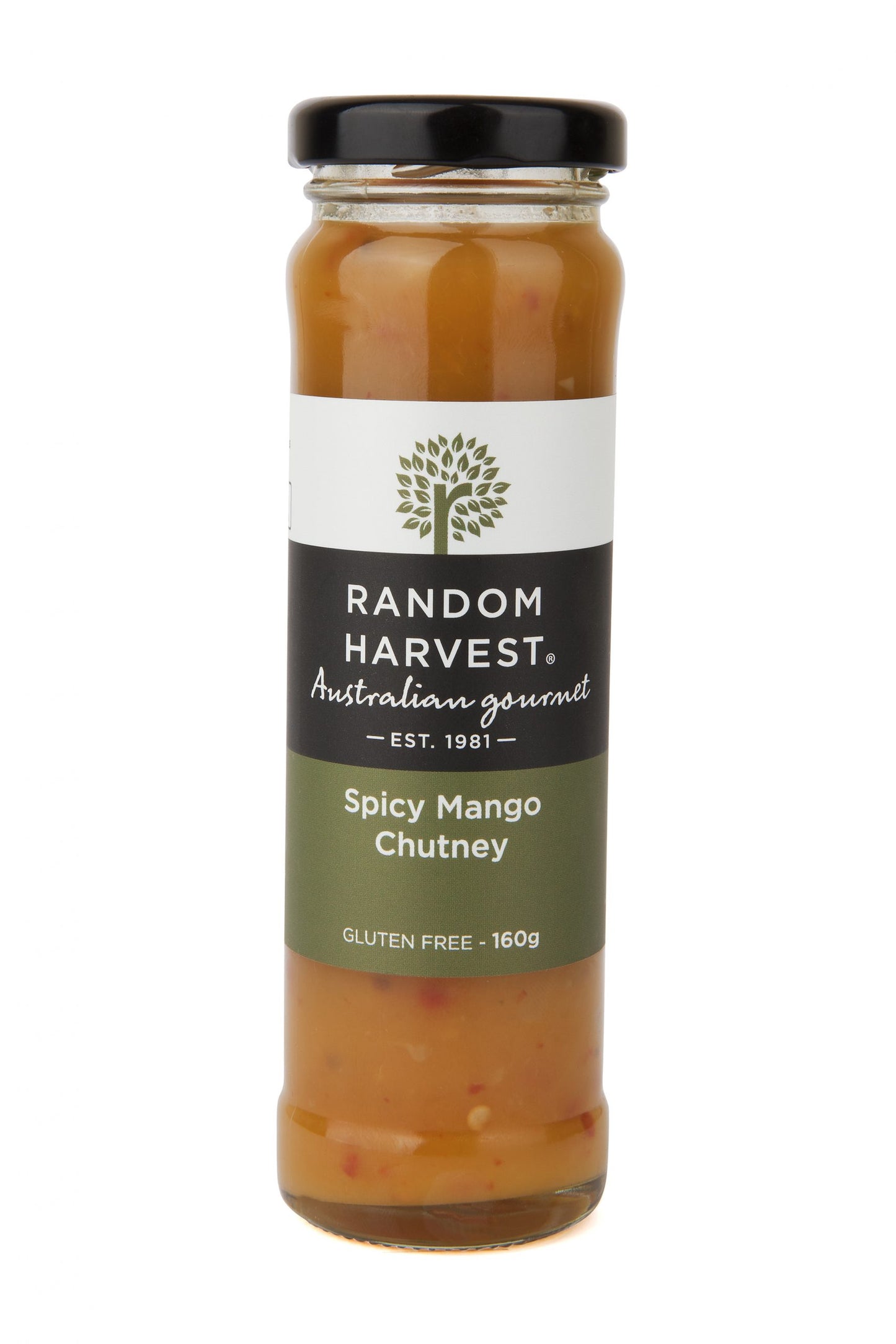 Spicy Mango Chutney