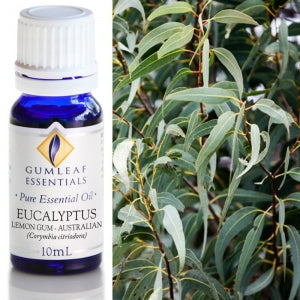 Gum Leaf Essential Oils