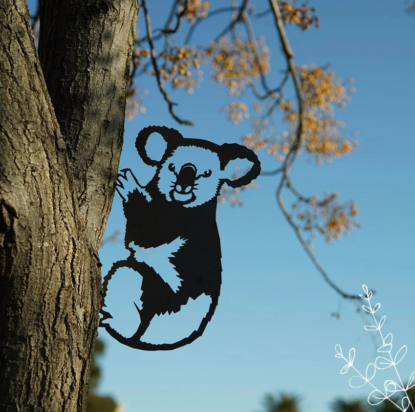Animalia Koala