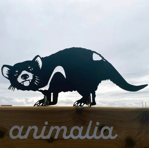 Animalia Art Tasmanian Devil