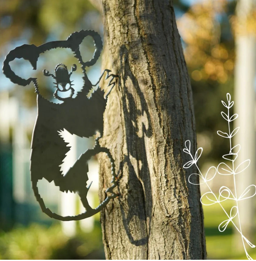Animalia Koala