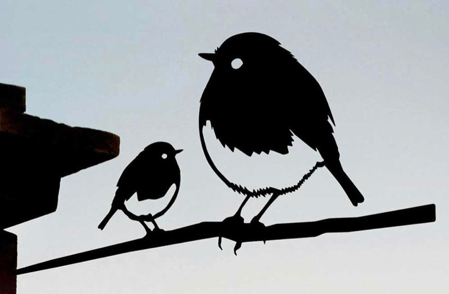 Robin with Chick Regular