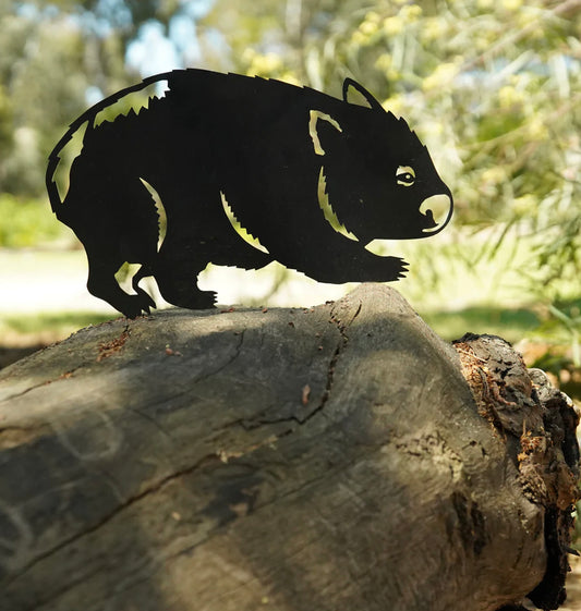 Wombat Bare Nosed Regular