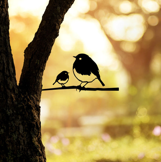Robin with Chick Regular