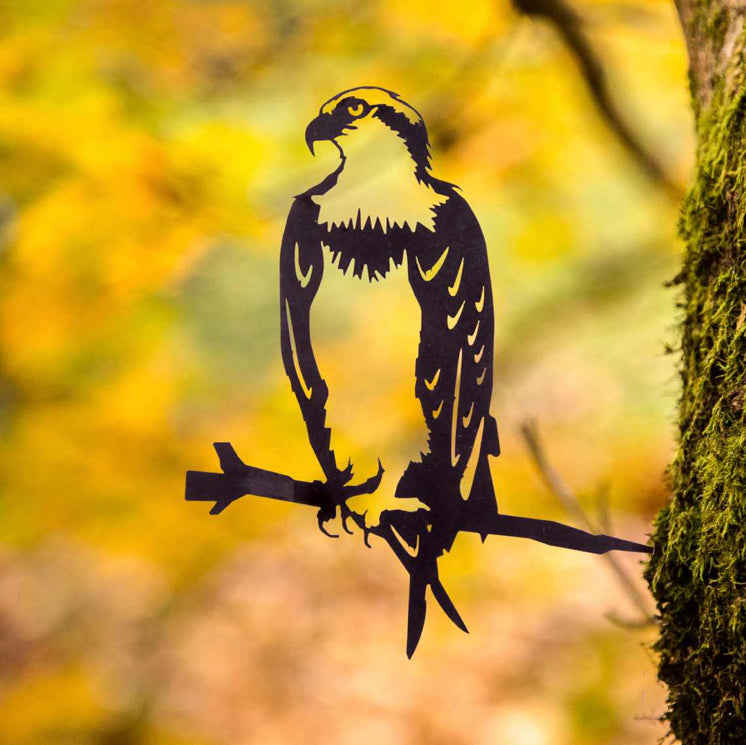 Osprey Regular