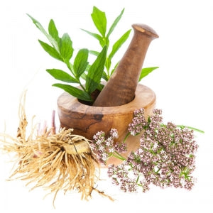 Essential Oil - Valerian