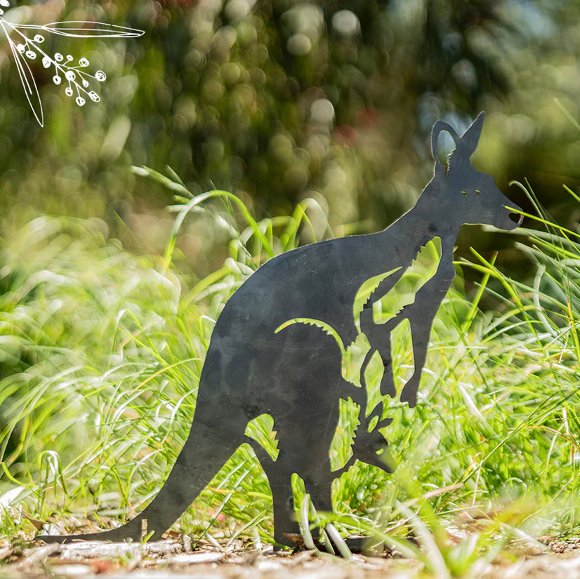 Animalia Kangaroo