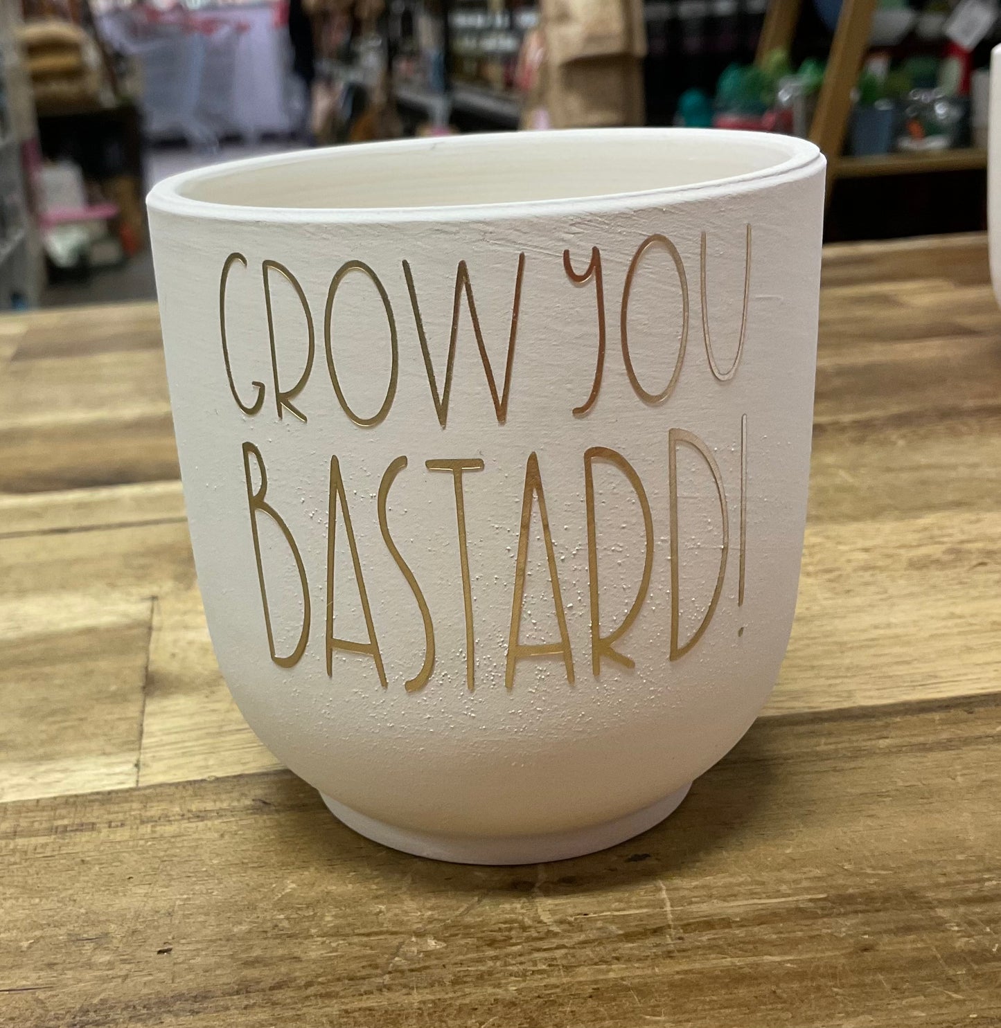 Funny Planter Grow You Bastard
