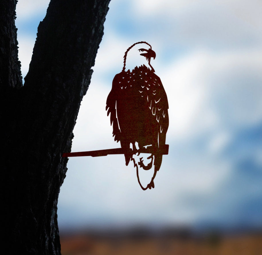 Wedge-Tailed Eagle