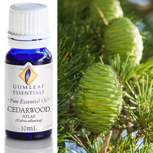 Essential Oil - Cedarwood