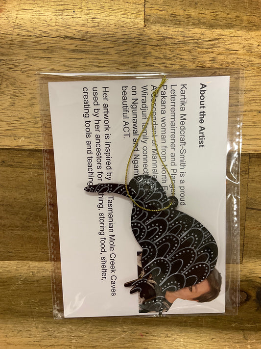 Handpainted Christmas Ornament Kiwi