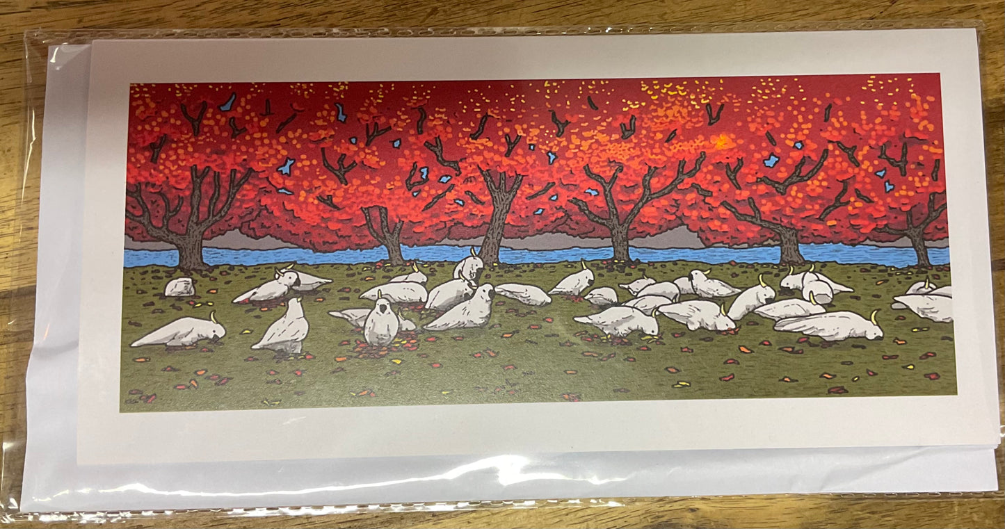 Leafy Sea Dragon Cards