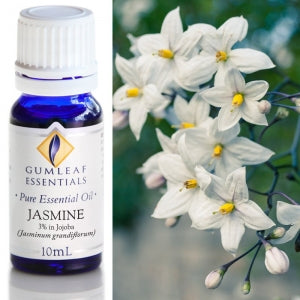 Gum Leaf Essential Oils