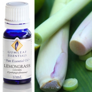 Gum Leaf Essential Oils