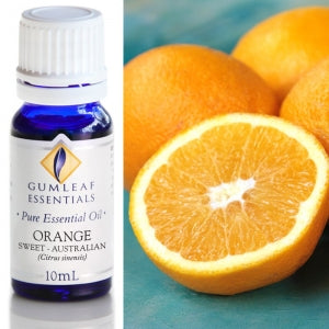 Gum Leaf Essential Oils