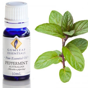Gum Leaf Essential Oils