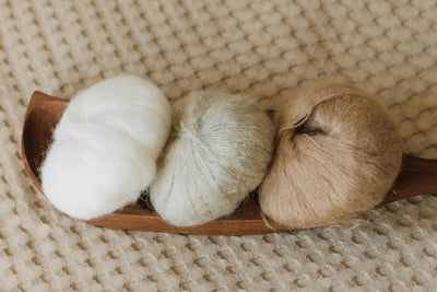 5ply